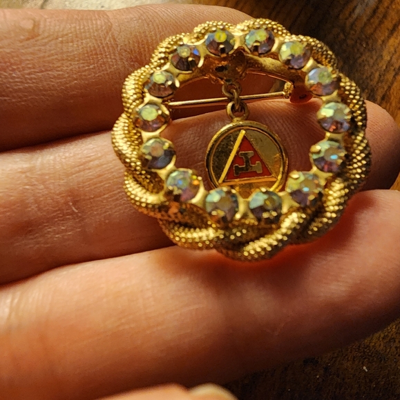 Vintage Daughters of Rebekah Masonic charity circle pin with aurora borealis - Picture 3 of 5